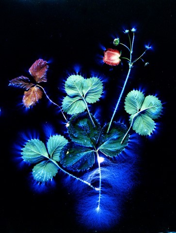 kirlian